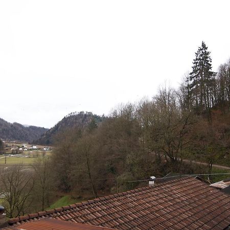 Al Maset Di Tss' - Green Apartament - Zona Living Spaziosa - Perfetto Per Famiglie Numerose A Pergine Valsugana Lägenhet Exteriör bild