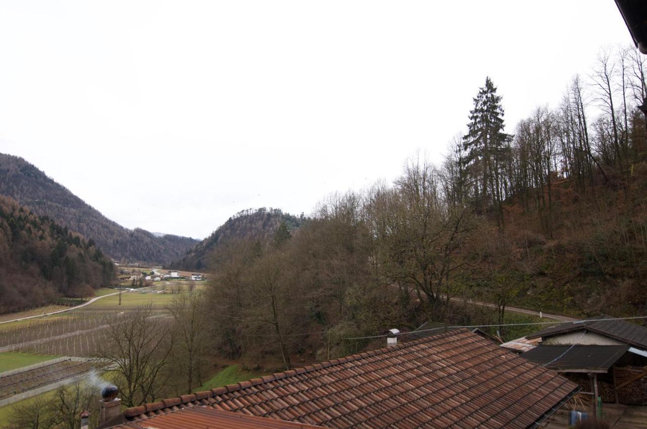 Al Maset Di Tss' - Green Apartament - Zona Living Spaziosa - Perfetto Per Famiglie Numerose A Pergine Valsugana Lägenhet Exteriör bild